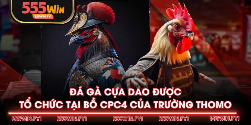 Đá gà cựa dao được tổ chức tại bồ CPC4 của trường Thomo